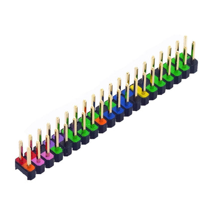 40-pin GPIO Header for Raspberry Pi (color-coded)