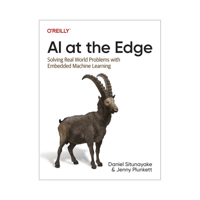 AI at the Edge