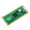 Raspberry Pi Pico RP2040 - Elektor